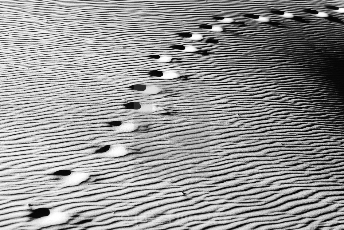 "The dune: steps that will one day cease to be. / A duna: marcas de passos que um dia deixarão de ser." stock image