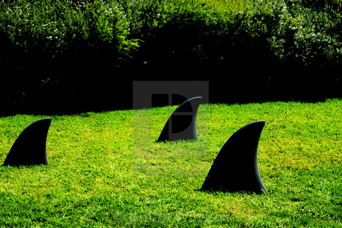 "Shark Fins on the lawn outside the Villa Serralves in Oporto, Portugal" by Julian Worker - $12.25 "Shark Fins on the lawn outside the Villa Serralves in Oporto, Portugal" stock image
