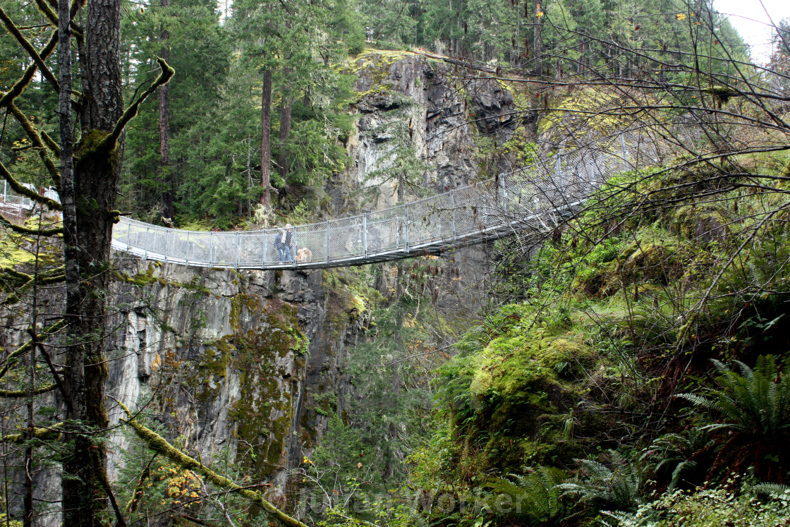 "Suspension bridge over the Campbell River" by Julian Worker - $15.31 "Suspension bridge over the Campbell River" stock image