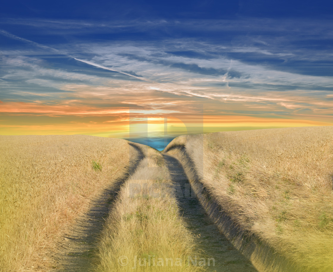 "Golden Wheat Field at Sunset.Blue Sky and Clouds.Unique Summer Landscape." stock image