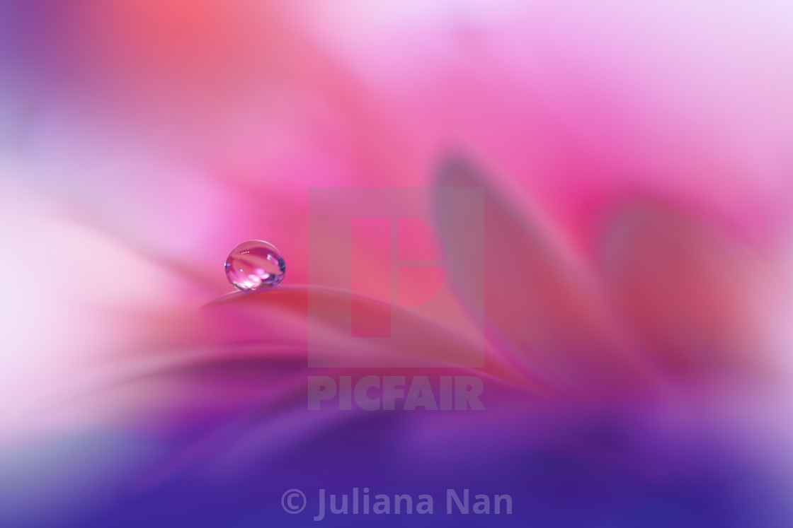 "Beautiful macro shot of magic flowers.Border art design. Magic light.Extreme close up macro photography.Conceptual abstract image.Violet and Pink Background." stock image