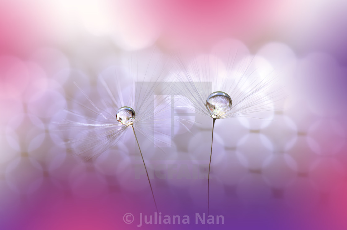from £30.00