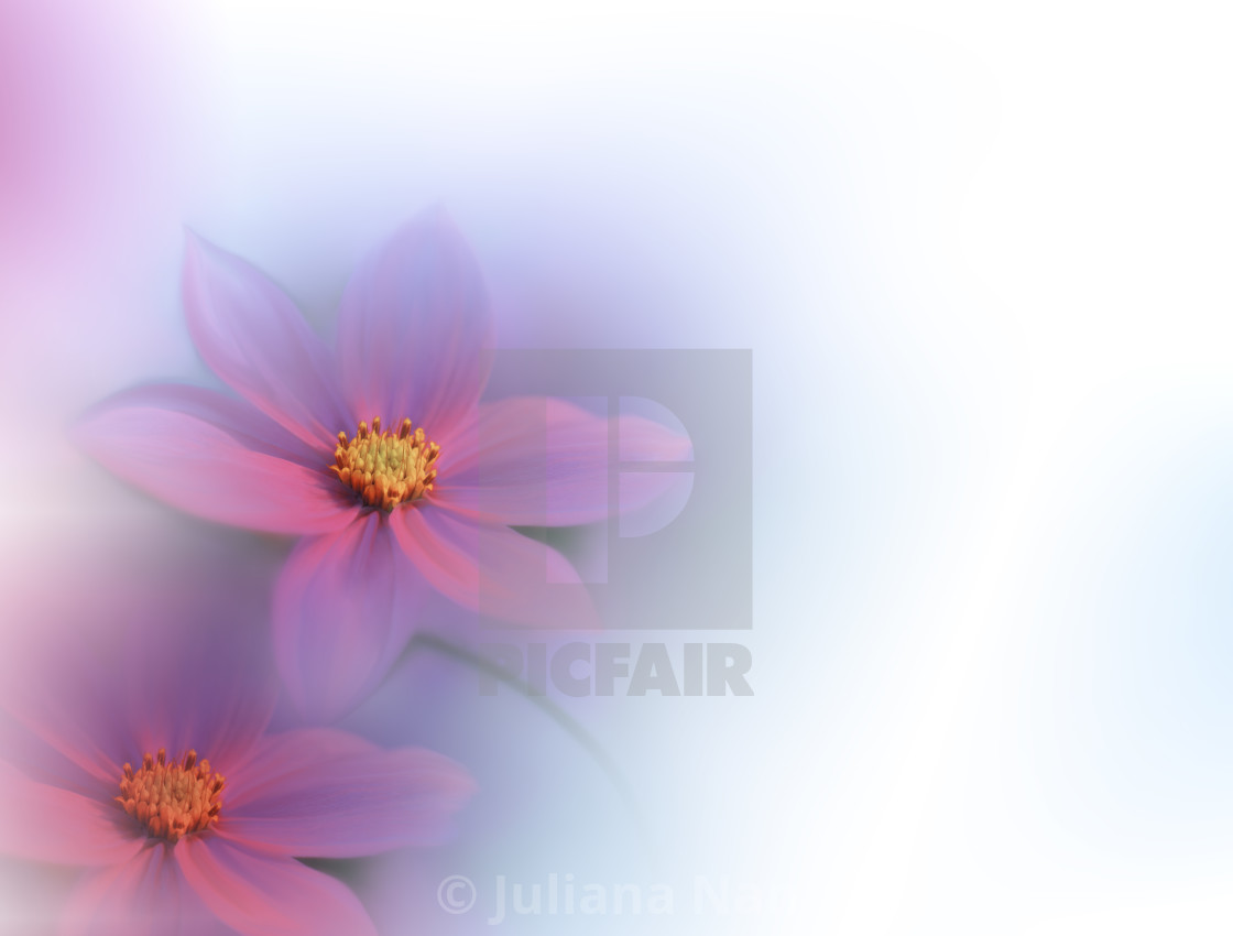 Beautiful Macro Shot of Magic Art Design. Magic Close up Abstract Wallpaper. - License, download or print for £ | Photos | Picfair Beautiful Macro Shot of Magic Art Design. Magic Close up Abstract Wallpaper. - License, download or print for £ | Photos | Picfair