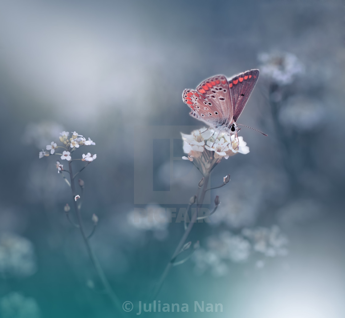 "Beautiful Green Nature Background.Floral Art Design.Macro Photography.Floral abstract pastel background with copy space.Butterfly and Floral Field." stock image