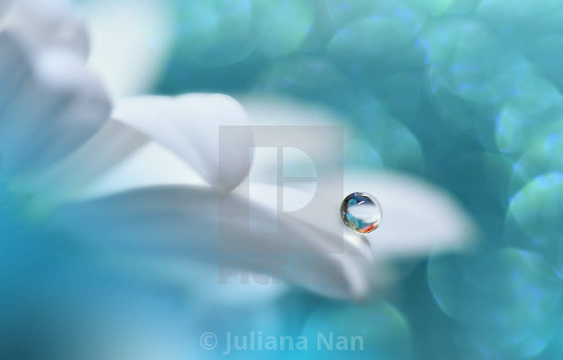 "Beautiful Macro Photo.Colorful Flowers.Border Art Design.Magic Light.Close up Photography.Conceptual Abstract Image.Blue Background.Fantasy Floral Art.Turquoise Color." stock image