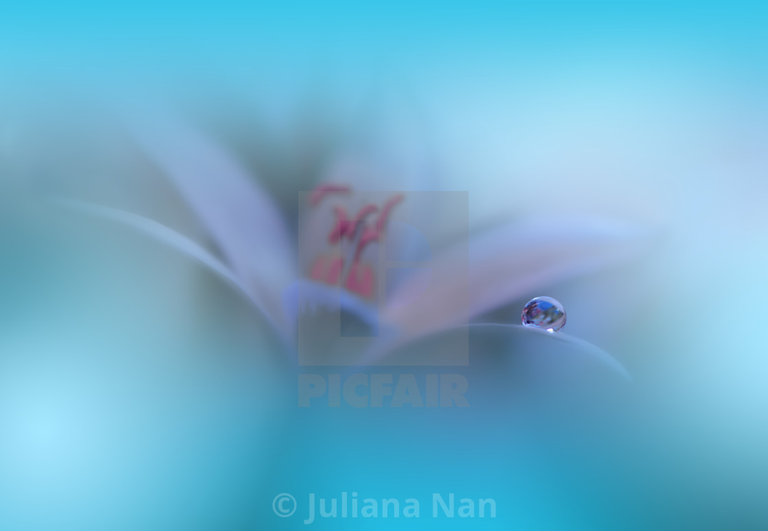 "Beautiful Macro Photo.Colorful Flowers.Art Design.Magic Light.Close up Photography.Conceptual Abstract Image.Blue Background.Fantasy Floral Art.Creative Wallpaper." stock image