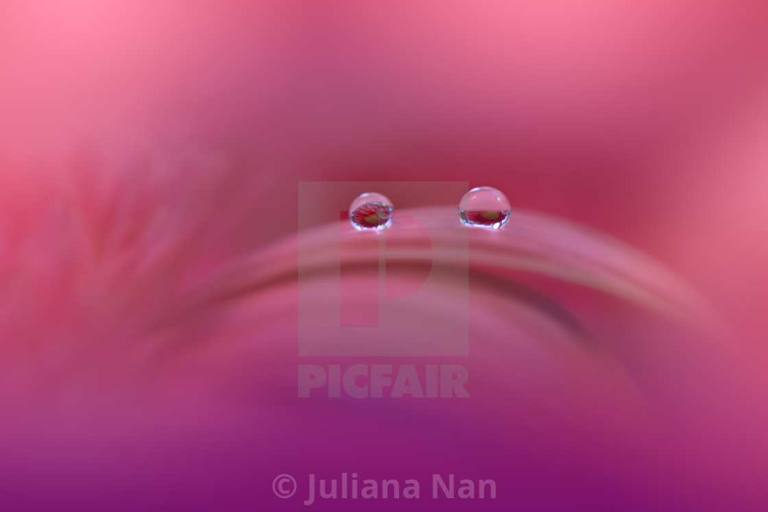 "Beautiful Macro Shot of Magic Flowers.Border Art Design.Magic Light.Extreme Close up Photography.Conceptual Abstract Image.Violet and Pink Background." by Juliana Nan - $43.86 "Beautiful Macro Shot of Magic Flowers.Border Art Design.Magic Light.Extreme Close up Photography.Conceptual Abstract Image.Violet and Pink Background." stock image