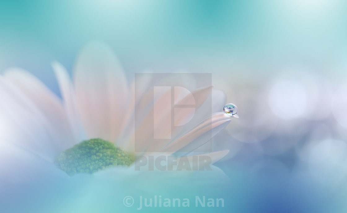 "Beautiful Macro Photo.Dream Flowers.Border Art Design.Magic Light.Close up Photography.Conceptual Abstract Image.Green Background.Fantasy Floral Art." by Juliana Nan - $43.86 "Beautiful Macro Photo.Dream Flowers.Border Art Design.Magic Light.Close up Photography.Conceptual Abstract Image.Green Background.Fantasy Floral Art." stock image