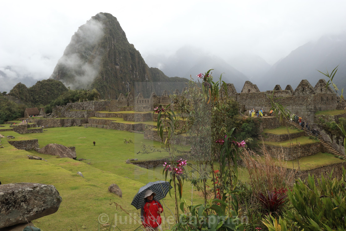 "Incan citadel of Machu Picchu, Peru" by Julianne Chapman - $6.18 "Incan citadel of Machu Picchu, Peru" stock image