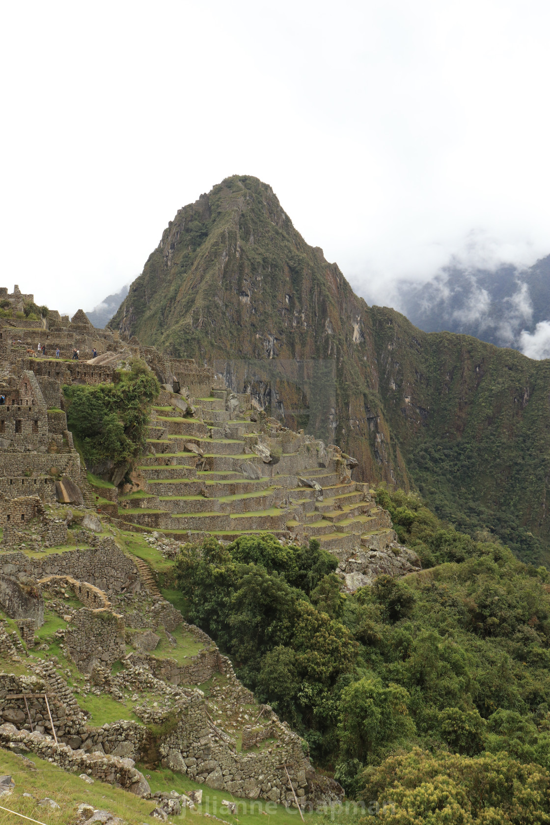 "Incan citadel of Machu Picchu, Peru" by Julianne Chapman - $6.18 "Incan citadel of Machu Picchu, Peru" stock image