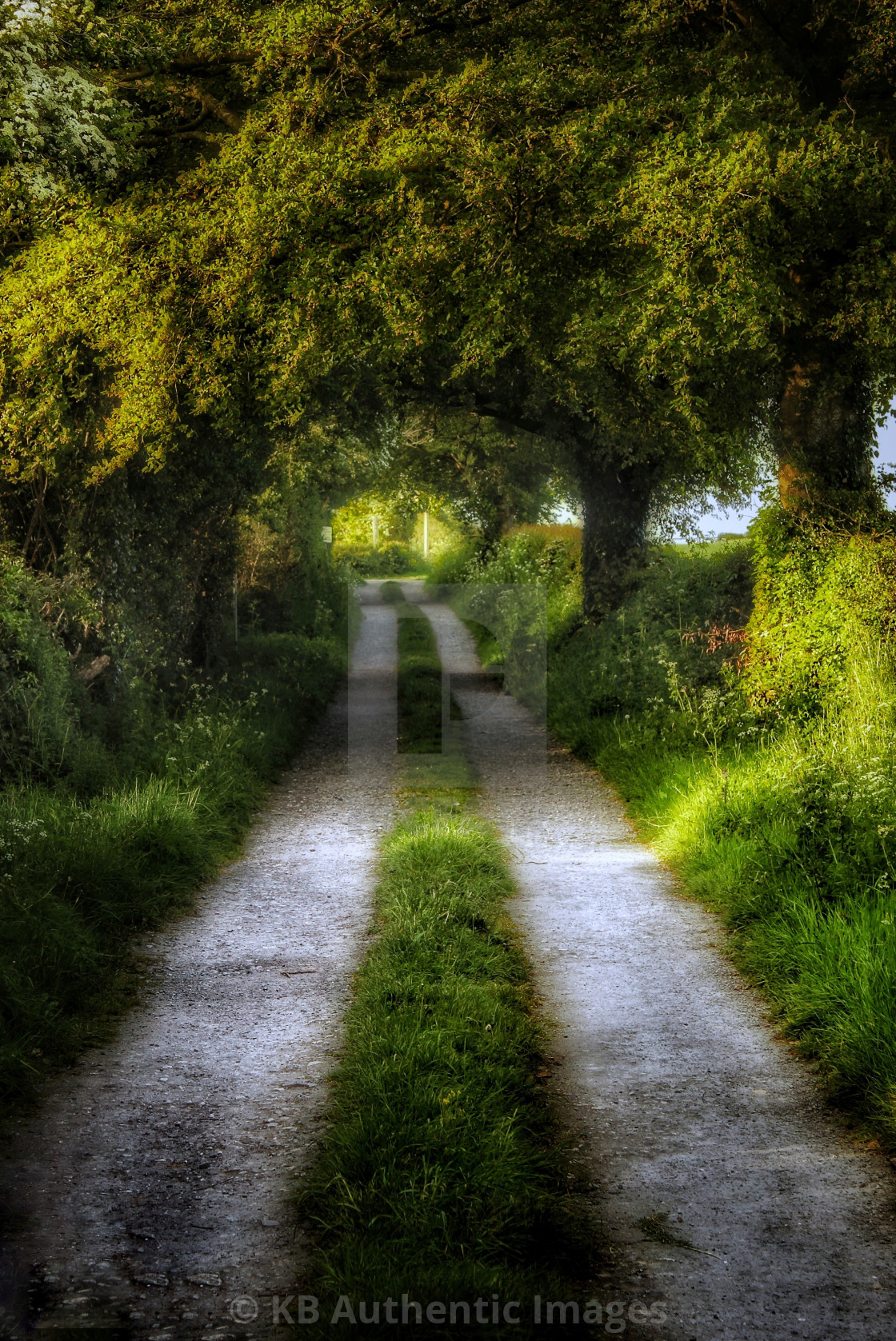 "Country Road" by KB Authentic Images - £18.60 "Country Road" stock image