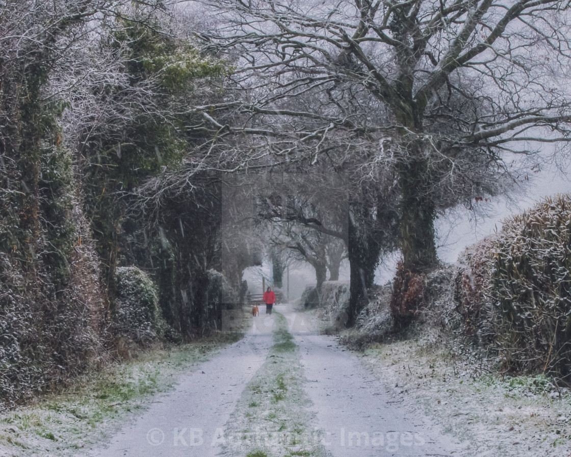 "Walking in the snow" by KB Authentic Images - £18.60 "Walking in the snow" stock image