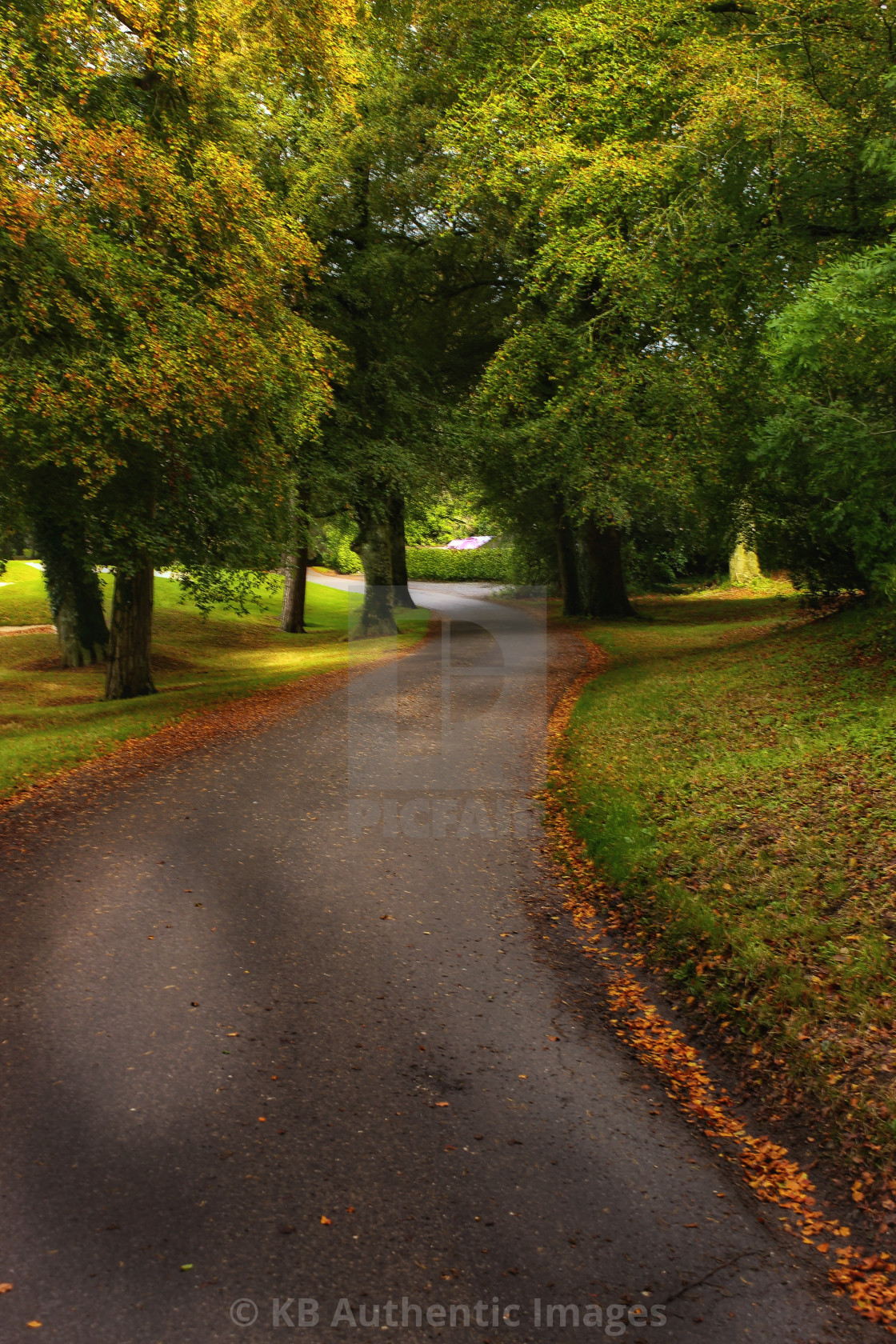 "Mount juliet" by KB Authentic Images - £18.60 "Mount juliet" stock image