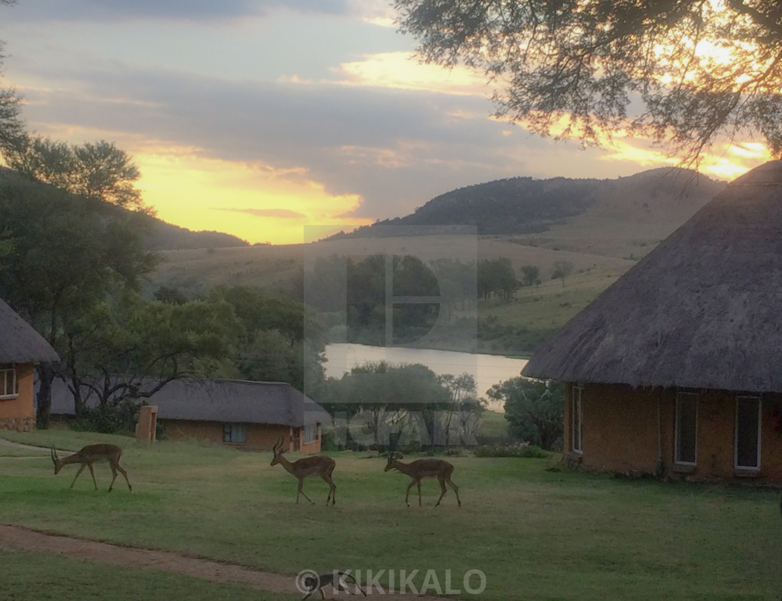 "'Golden Hour at The Cradle of Humankind'" stock image