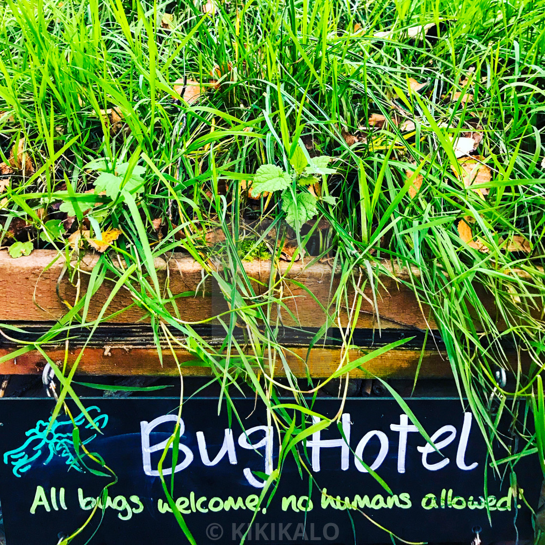 "'The Bug Hotel' - It's a Bugs Life" stock image