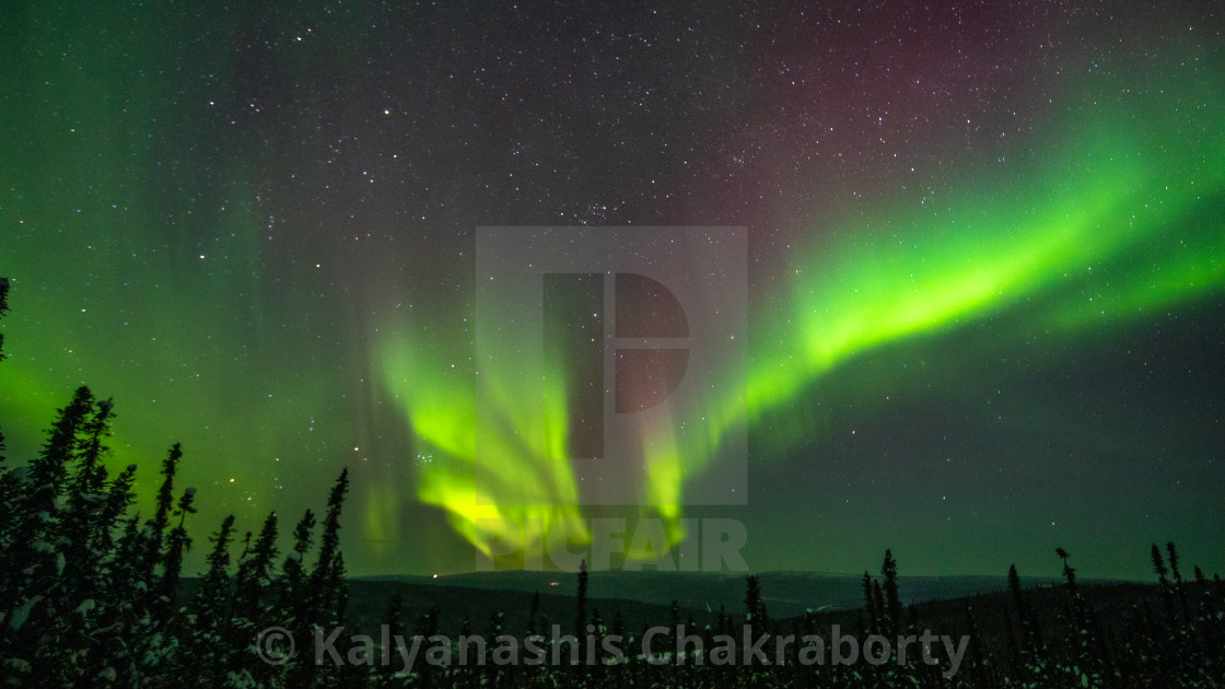 "Aurora Green and Purple" stock image