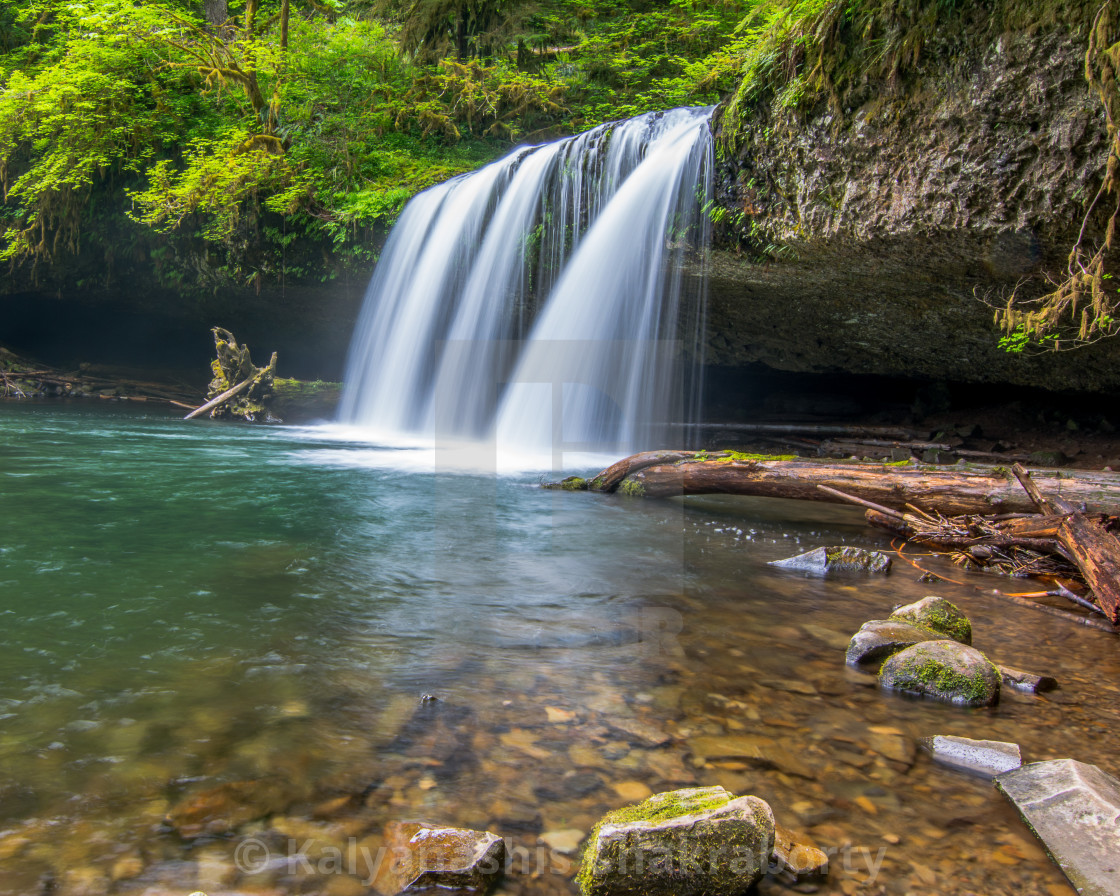 "Butte Creek Falls" stock image