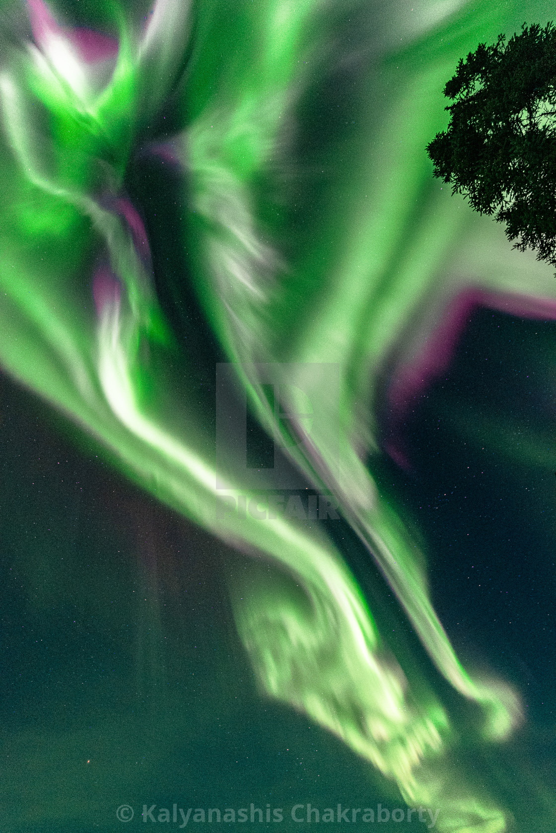 "Aurora dance" stock image