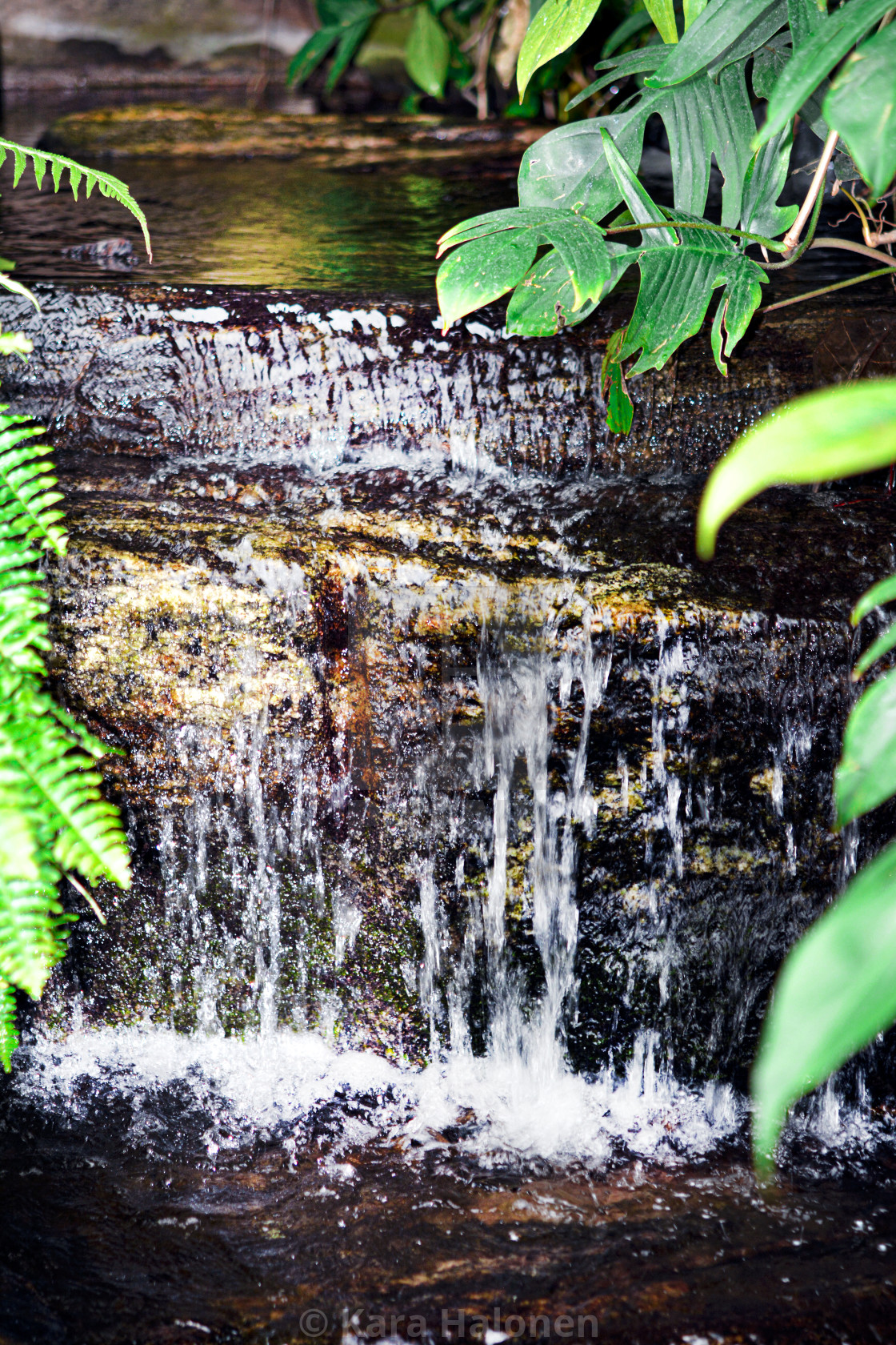 "Niagara Falls Ontario Canada Parks Butterfly Conservatory" by Kara Halonen - $15.31 "Niagara Falls Ontario Canada Parks Butterfly Conservatory" stock image