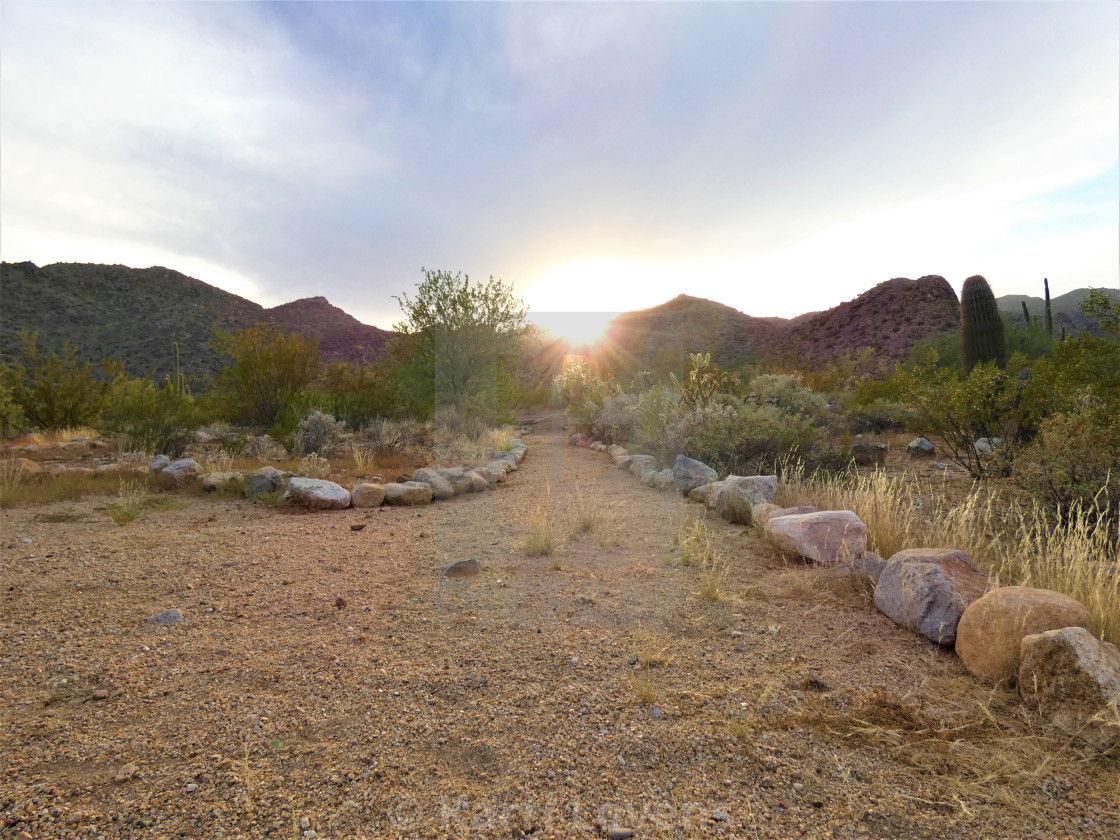 "Arizona Sunset Desert Landscape" stock image