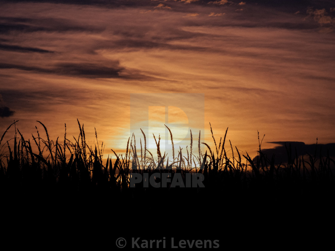 "Arizona Sunset" stock image