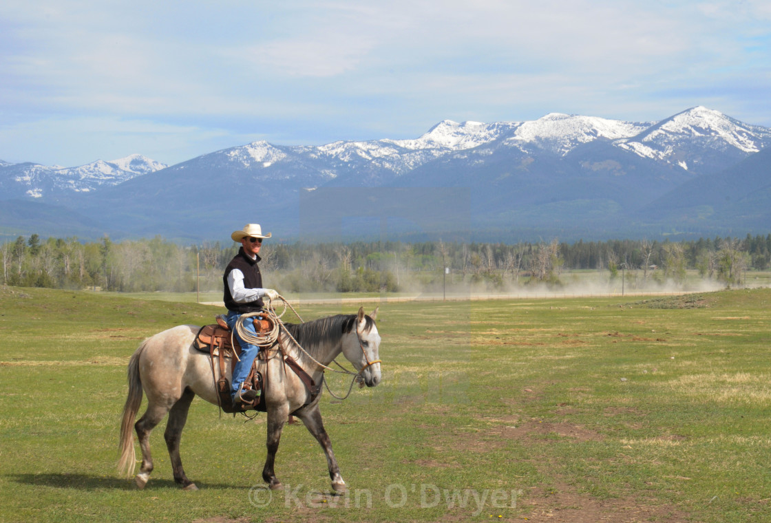 "Montana cowboy" stock image