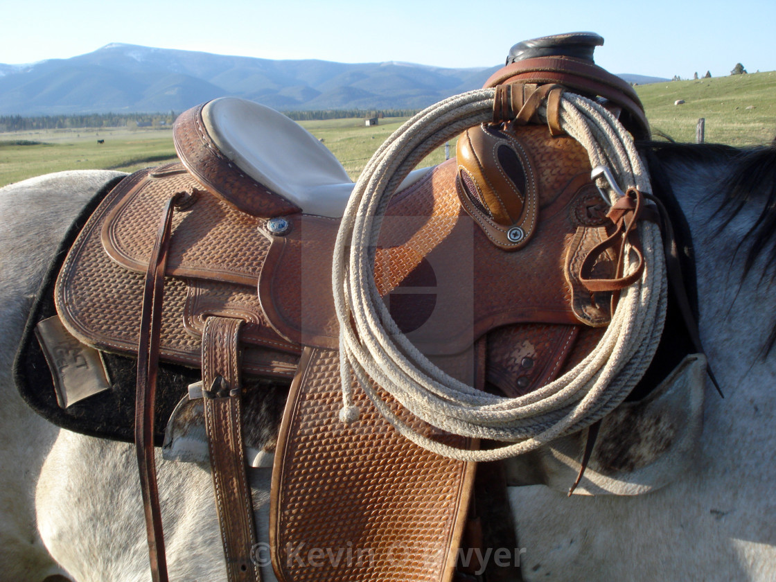 "Saddle and lasso" stock image