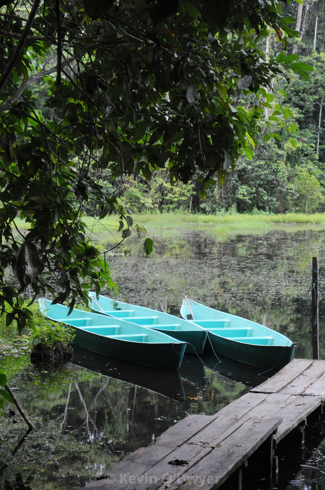 "Amazon Basin" stock image