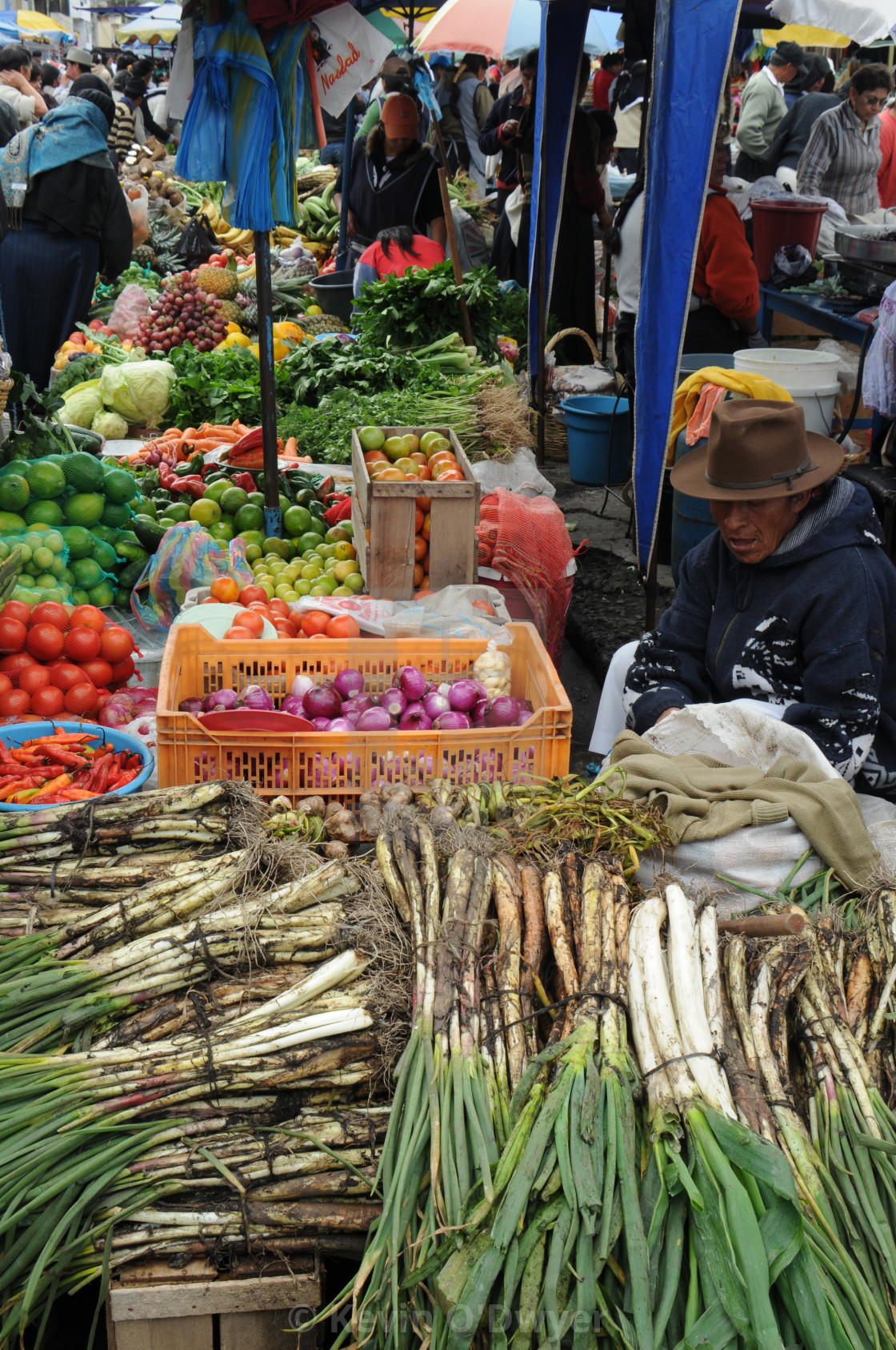 "Vegetable Market, Otavalo, Ecuador" stock image