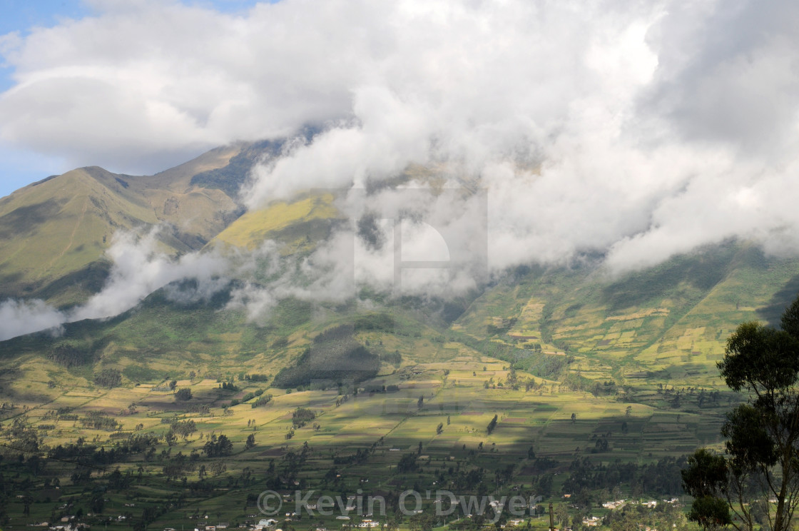 "On the Road to Parque Condor." stock image