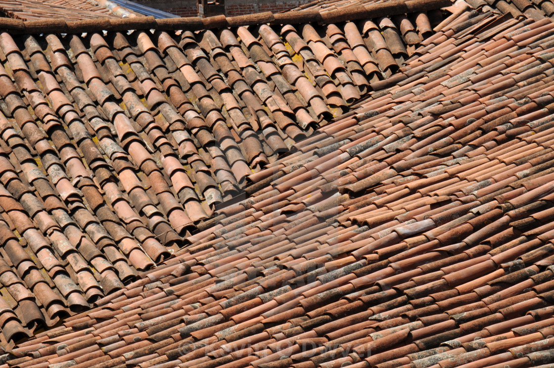 "Patzcuaro roofscape" stock image