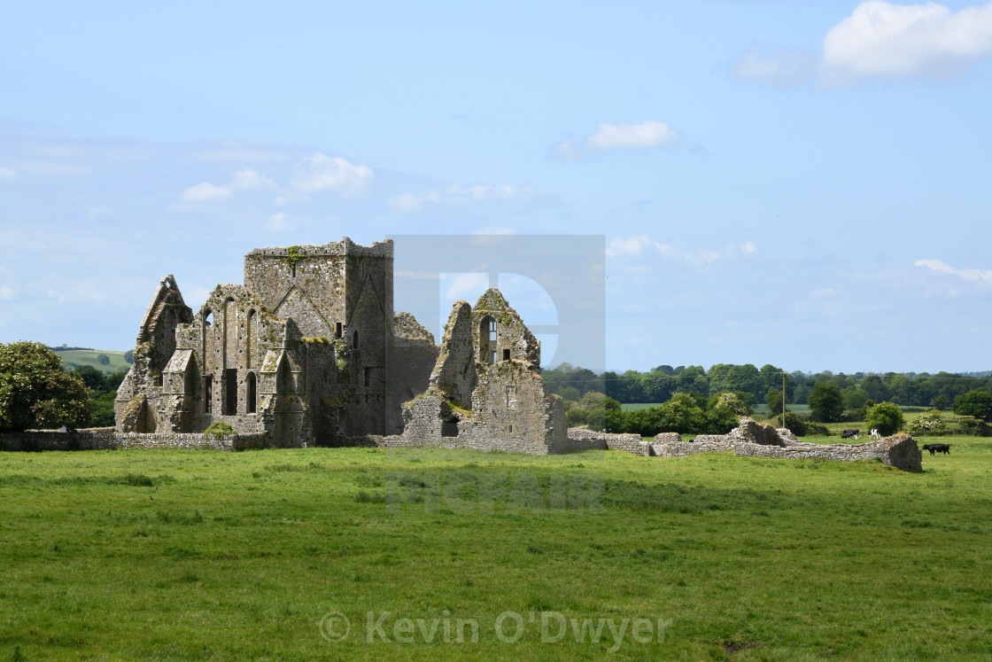 "Hoare (Hore) Abbey, Cashel, County Tipperary" stock image