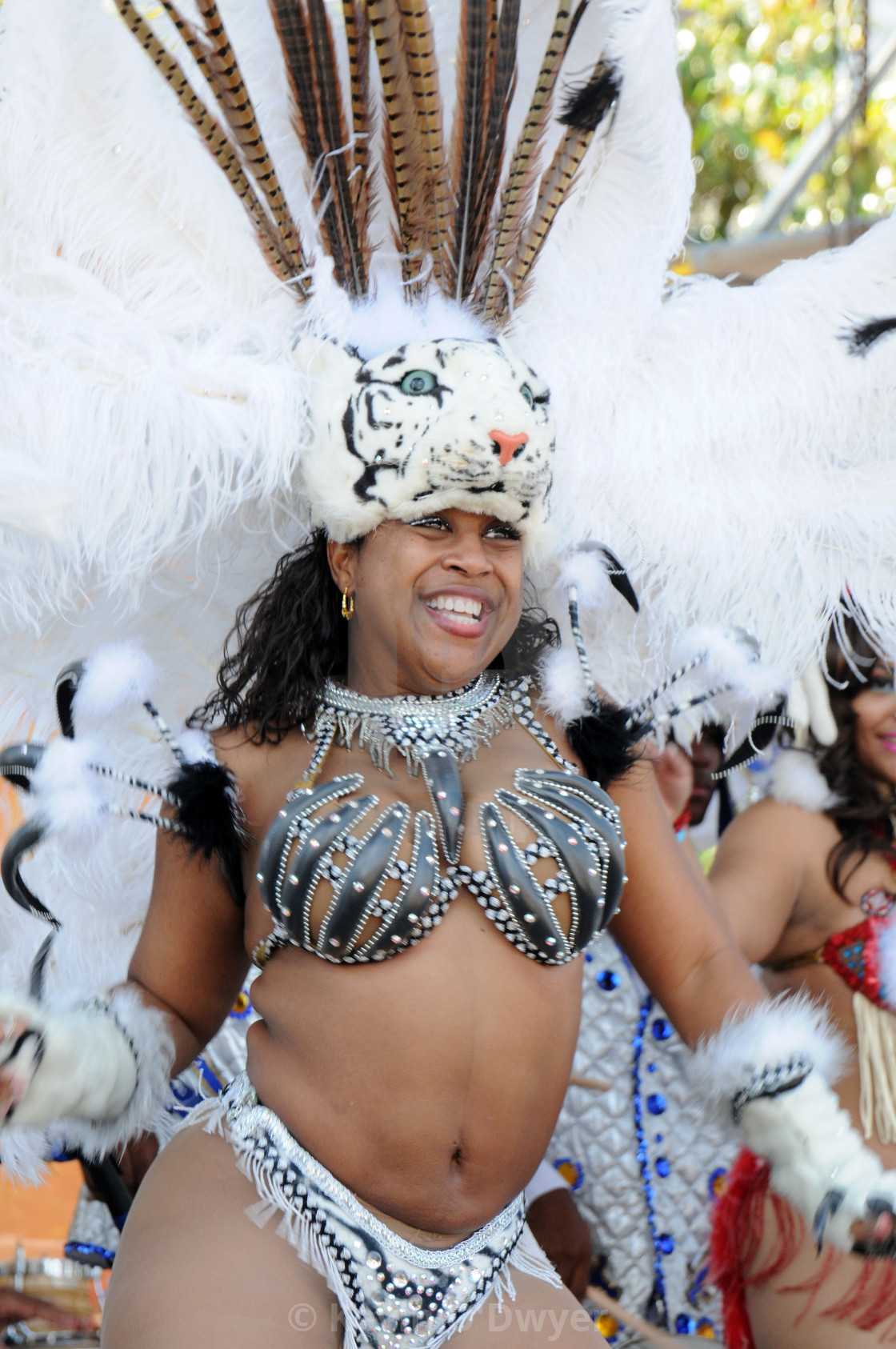 "Samba - Mardi Gras" stock image