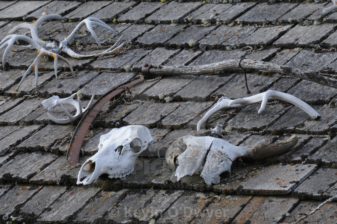 "Ranch Artifacts, Baldy Mountain Ranch , Blackfoot Valley" stock image