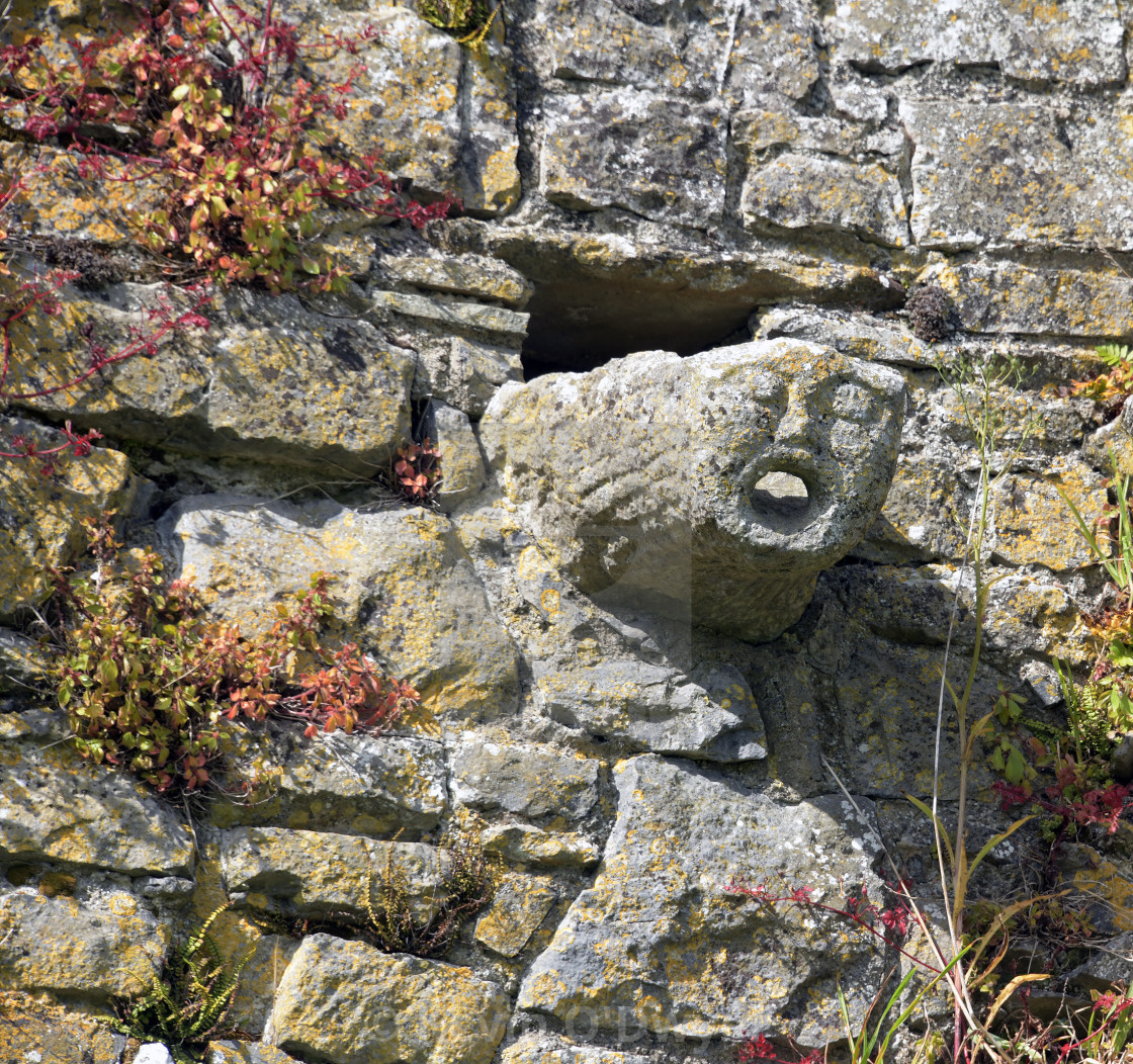 "Athassel Abbey" stock image