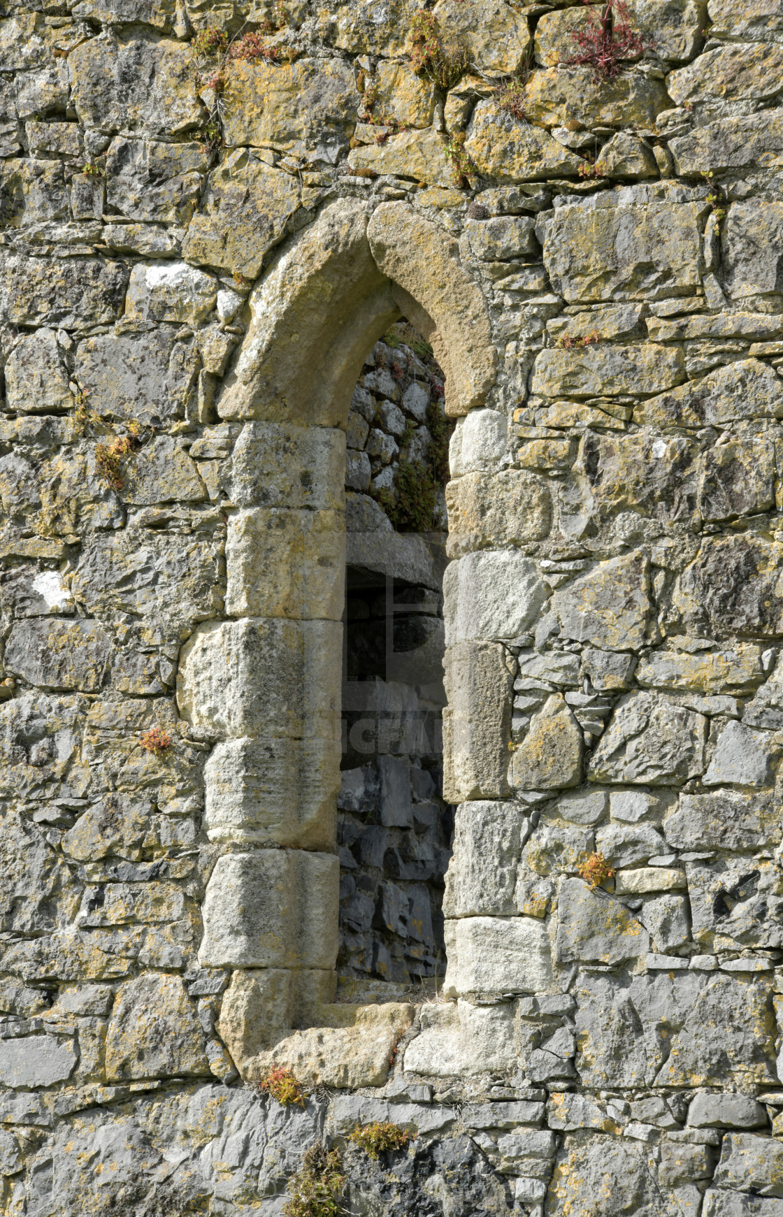 "Athassel Abbey" stock image