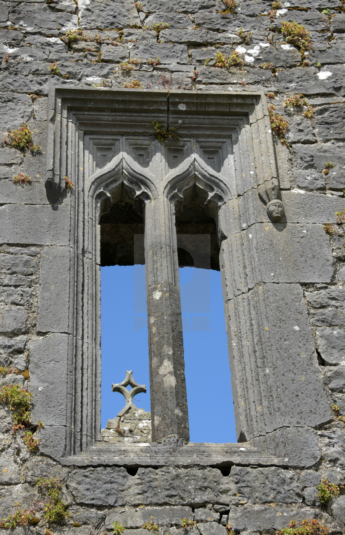 "Holy Cross Abbey" stock image