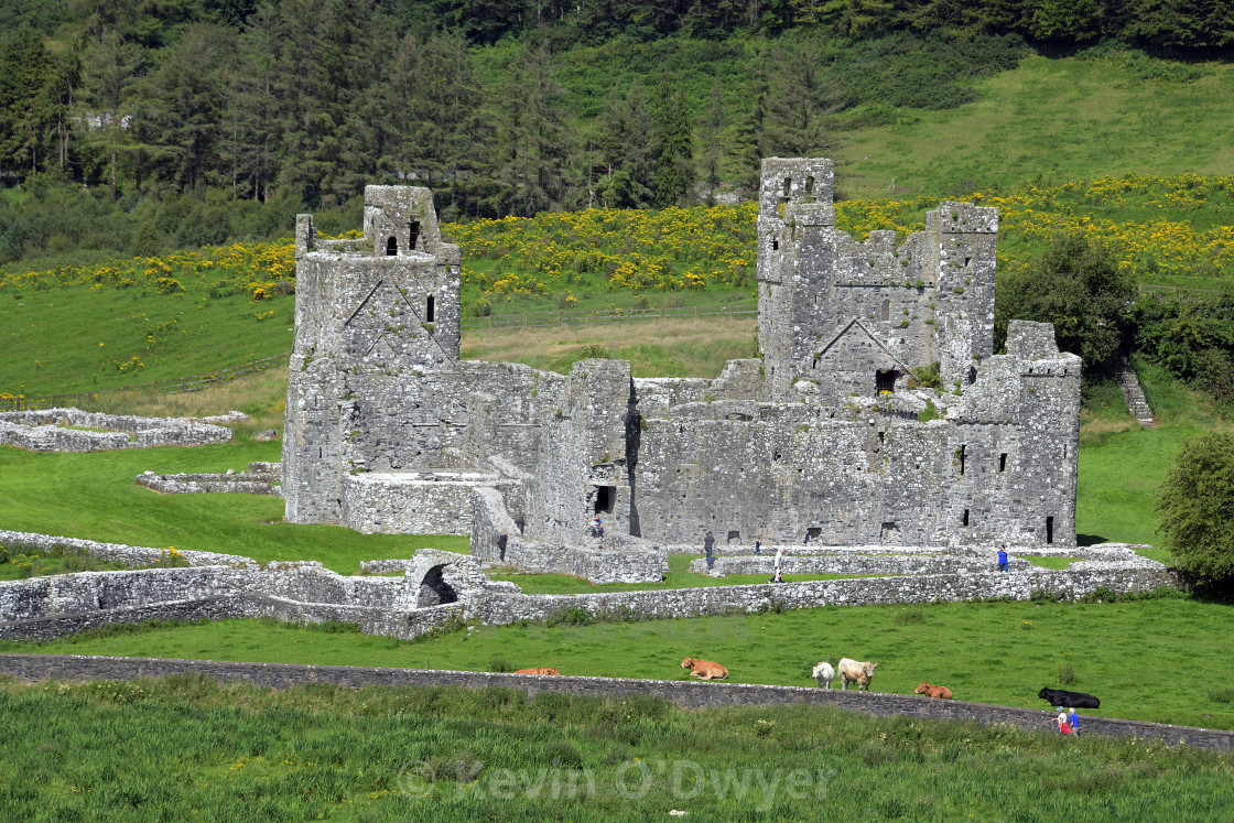 "Fore Abbey, County Westmeath" stock image