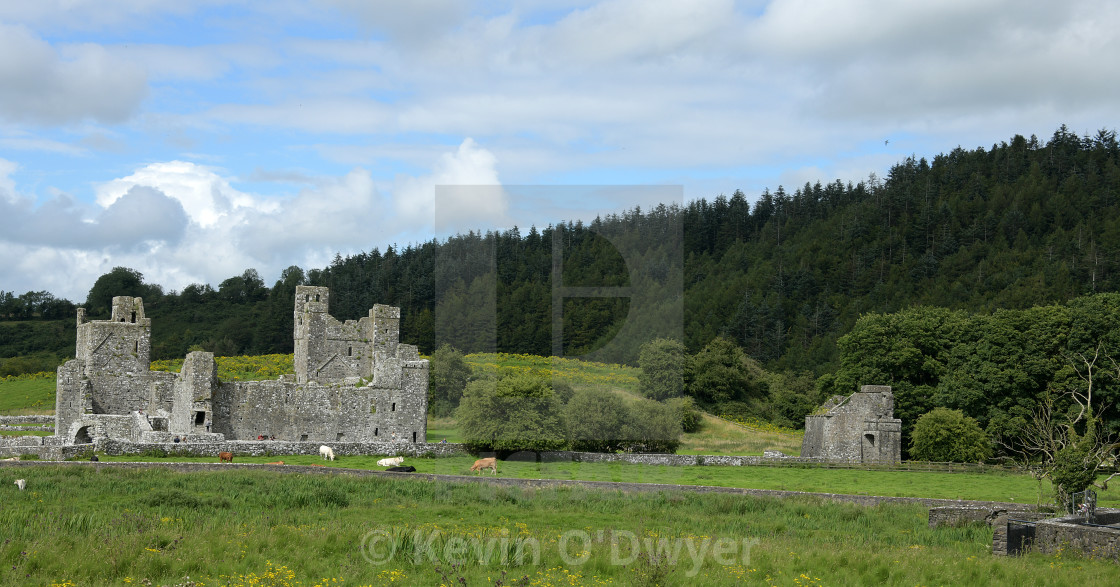 "Fore Abbey, County Westmeath" stock image