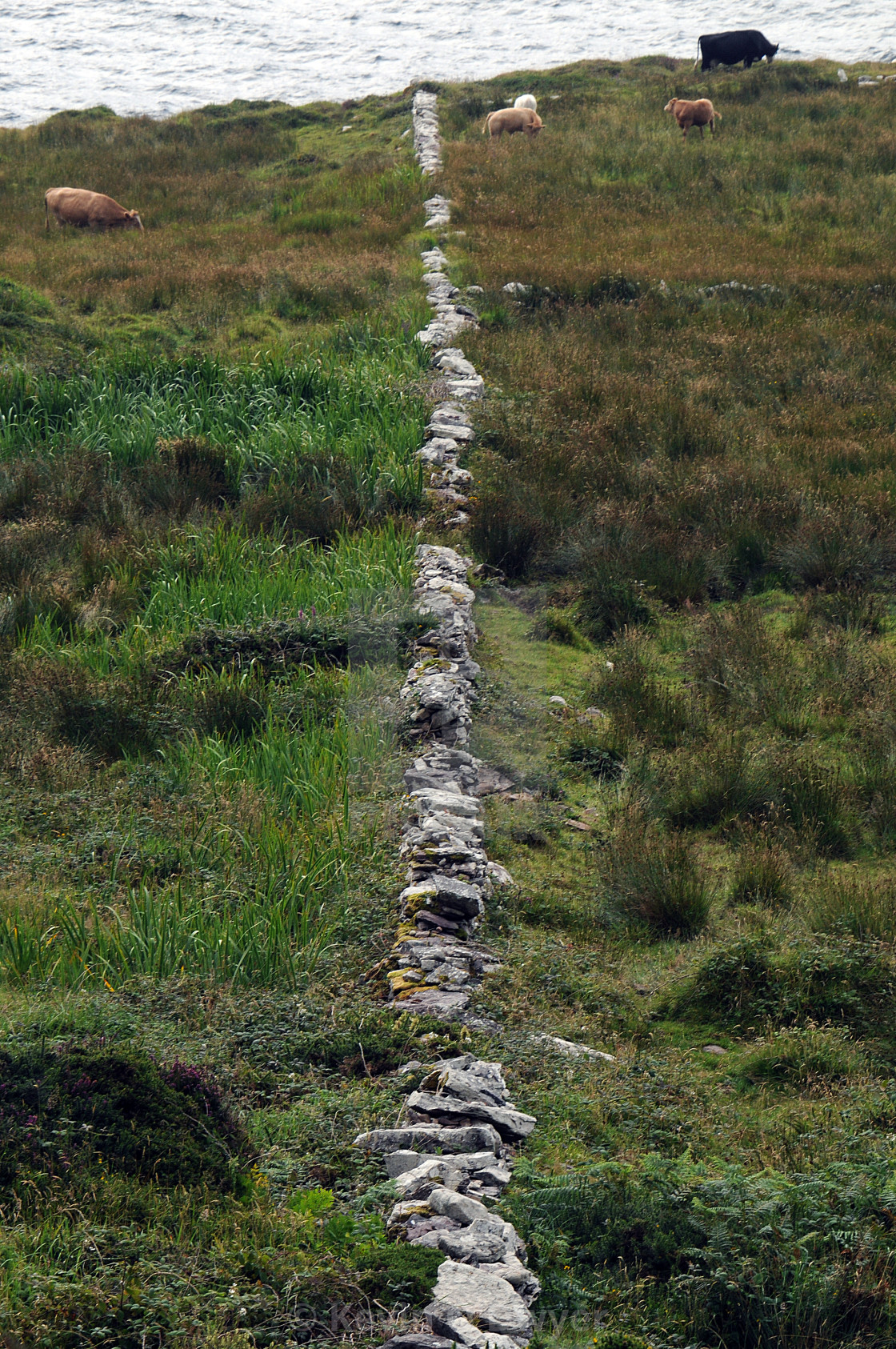 "Stone wall, Ballinskelligs, Co. Kerry" stock image