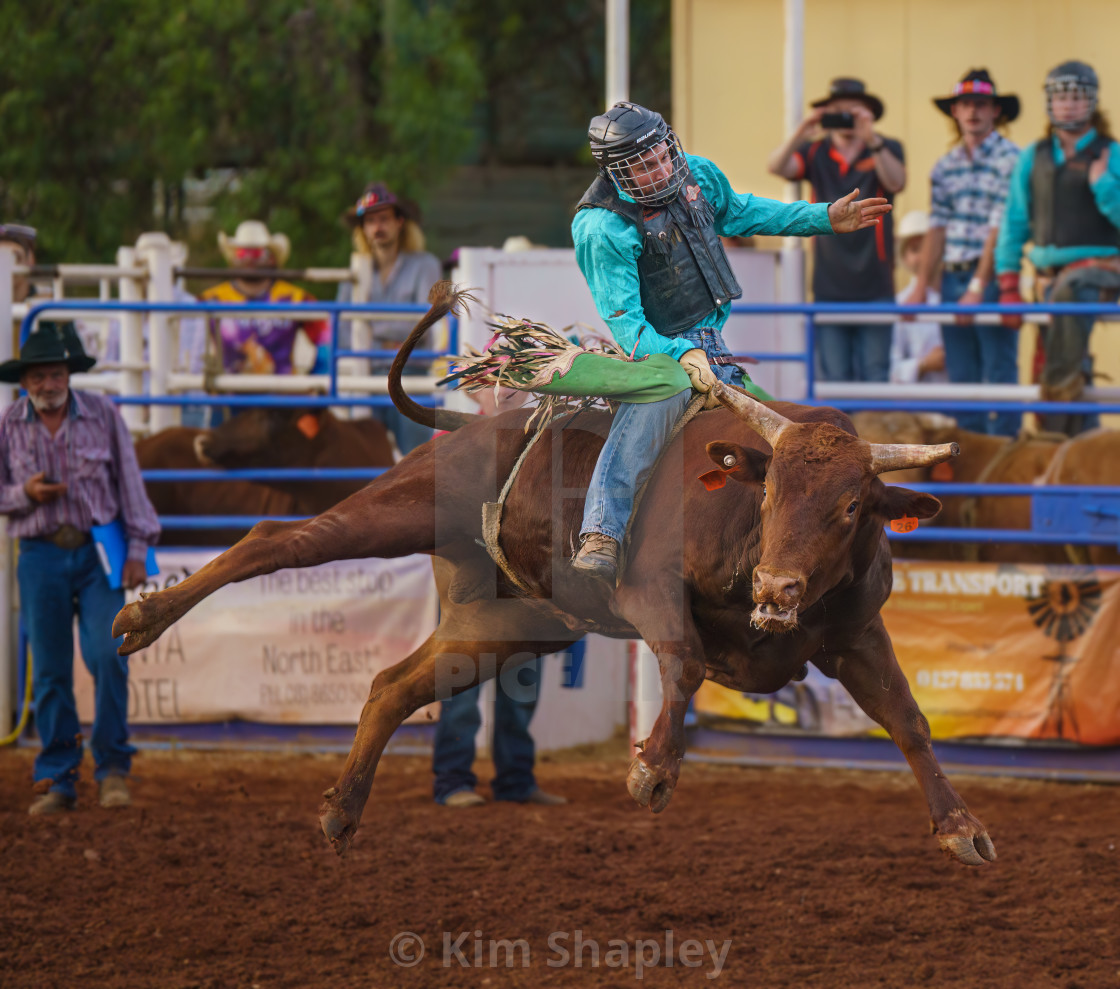 "Bull riding" stock image