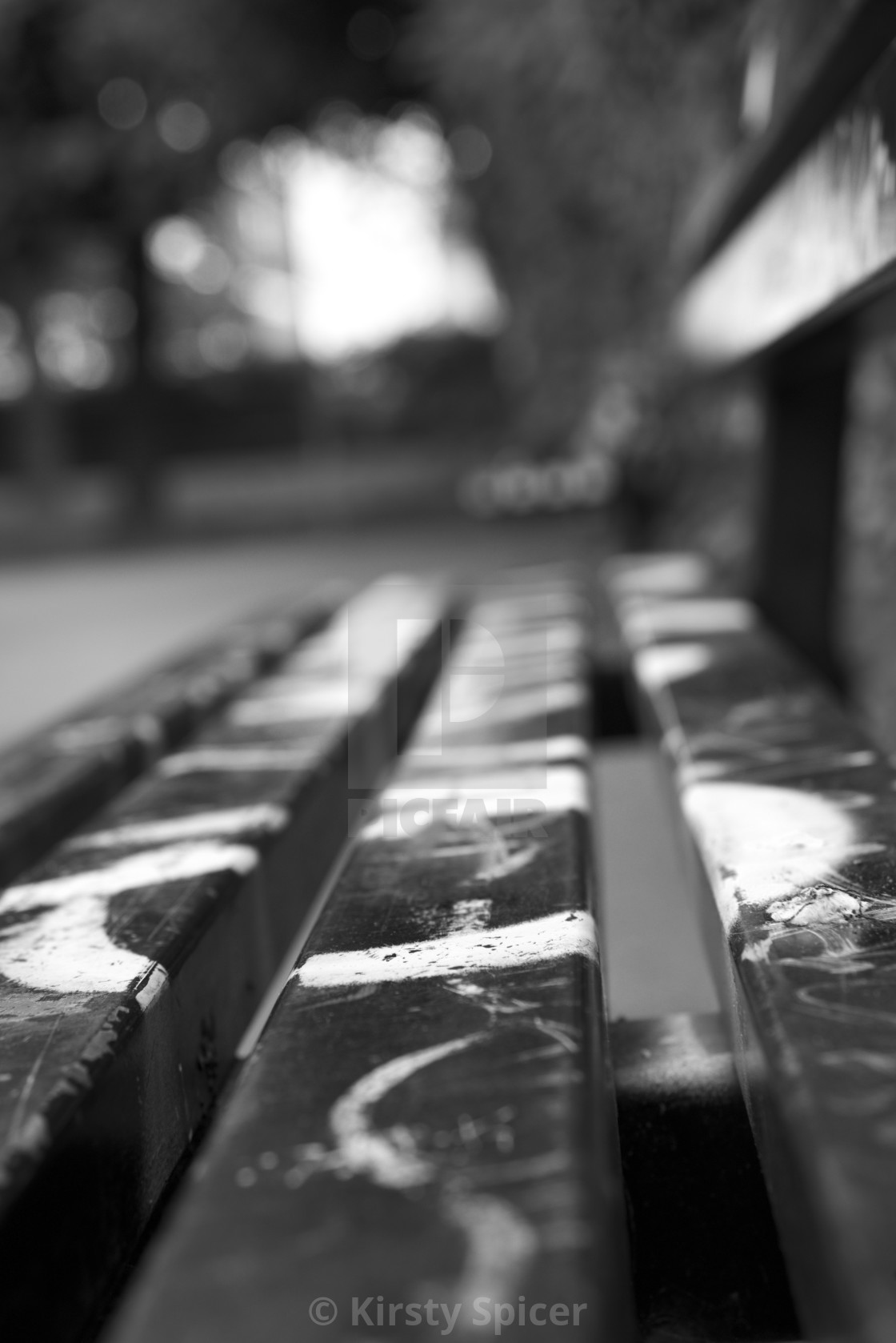 "Metal Bench in a Skatepark" stock image