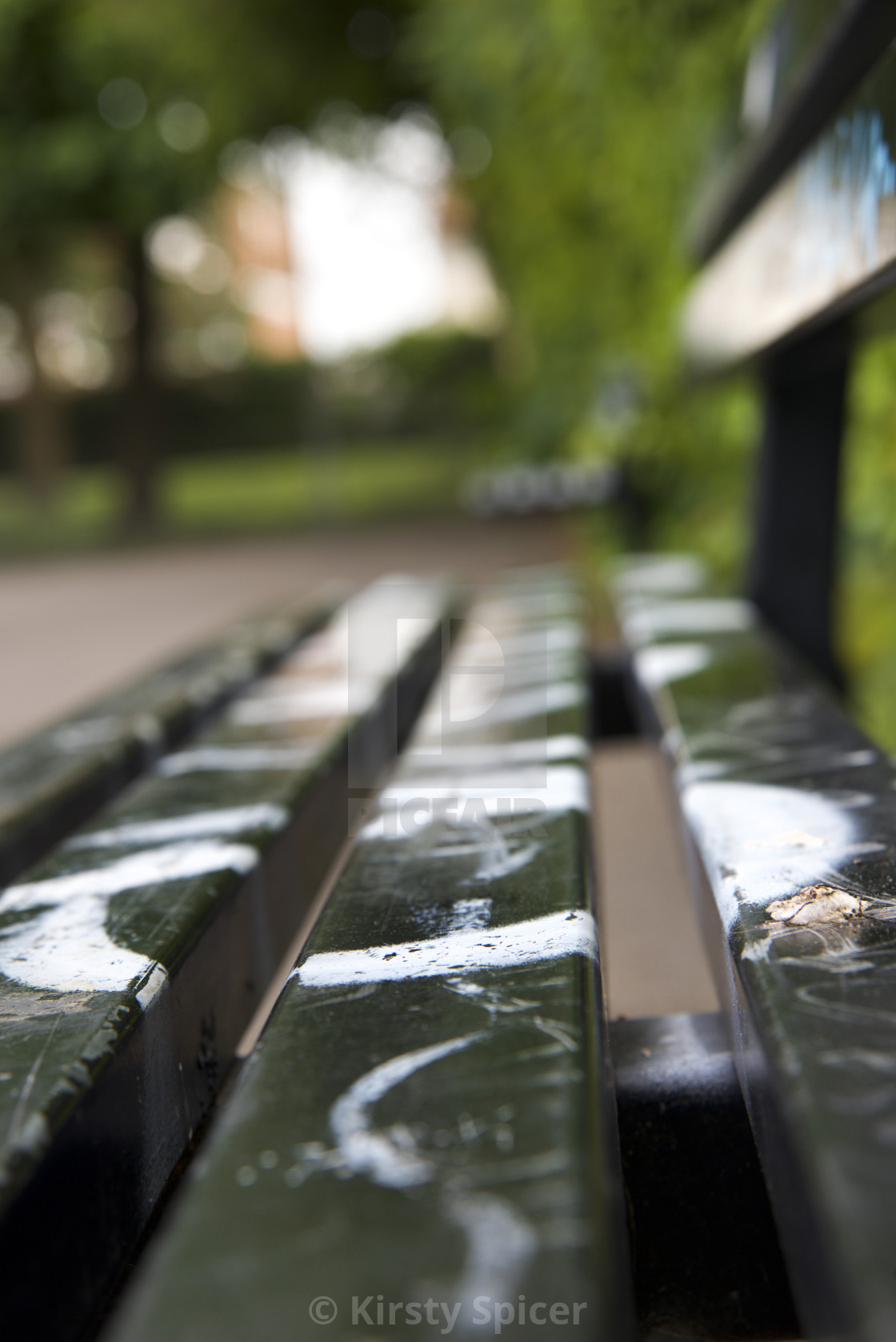 "metal bench inside a skatepark" stock image