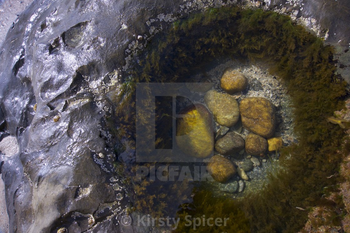 "Beautiful Rock pool" stock image