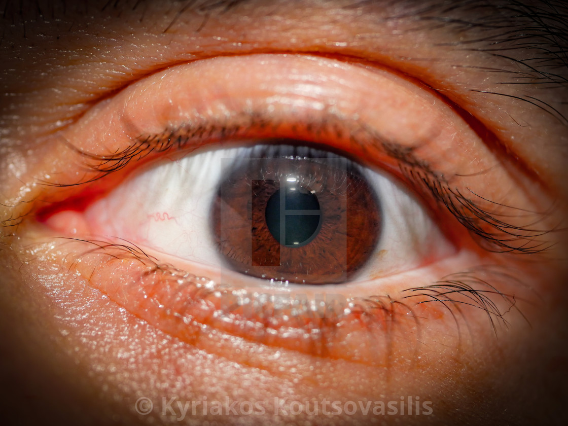 "All-seeing eye" stock image