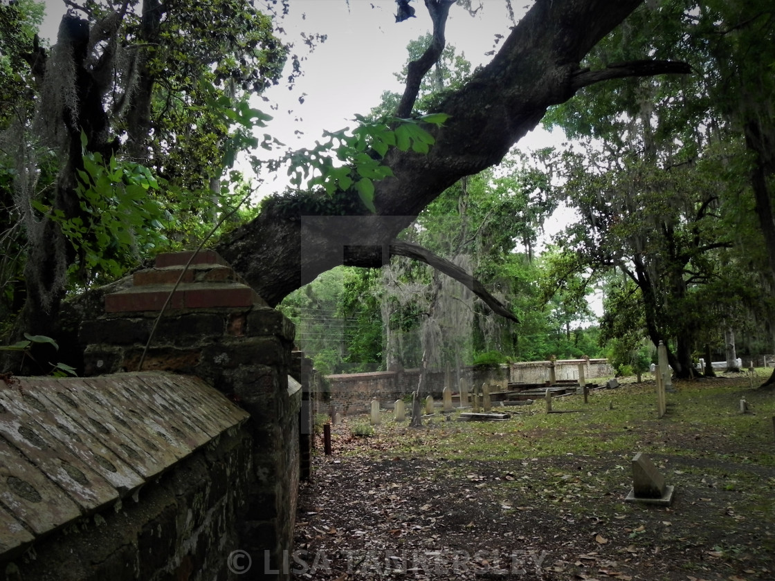 "Old Midway Cemetery" by LISA TANKERSLEY - $15.42 "Old Midway Cemetery" stock image