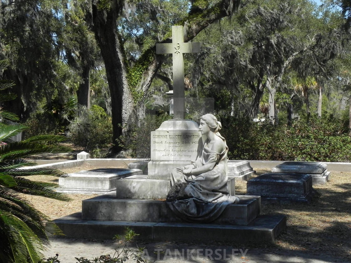 "Bonaventure Cemetery" by LISA TANKERSLEY - $15.42 "Bonaventure Cemetery" stock image