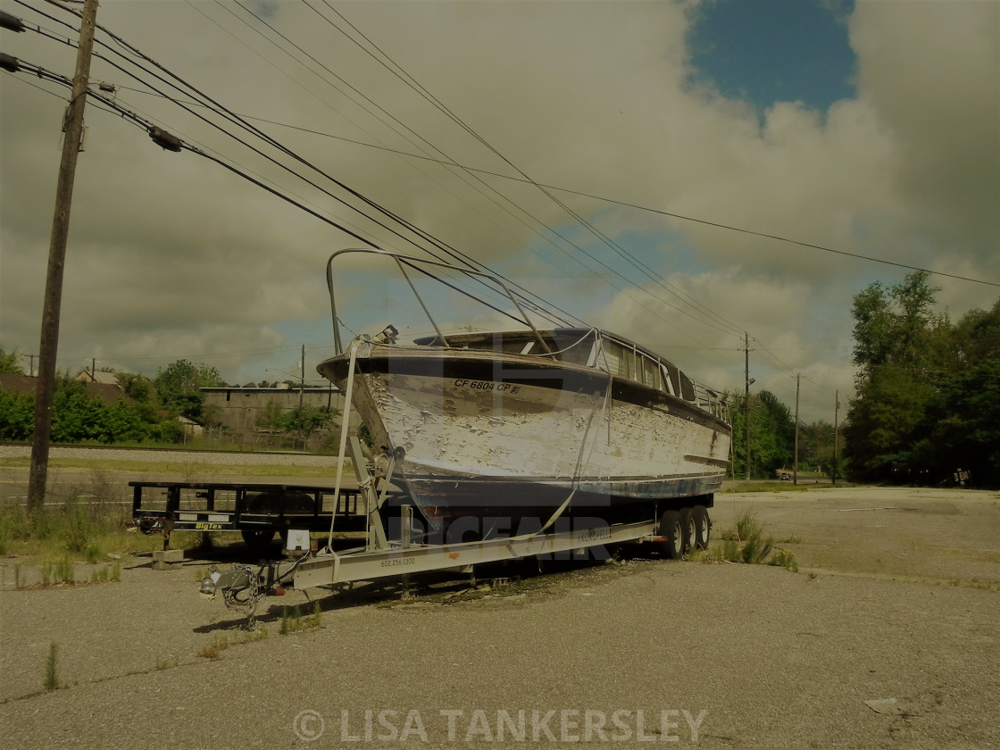 "Old Salty" by LISA TANKERSLEY - $15.42 "Old Salty" stock image