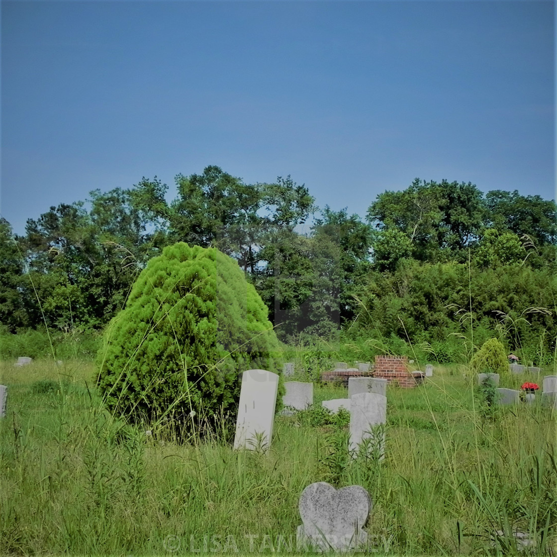 "Evergreen Cemetary" by LISA TANKERSLEY - $15.42 "Evergreen Cemetary" stock image