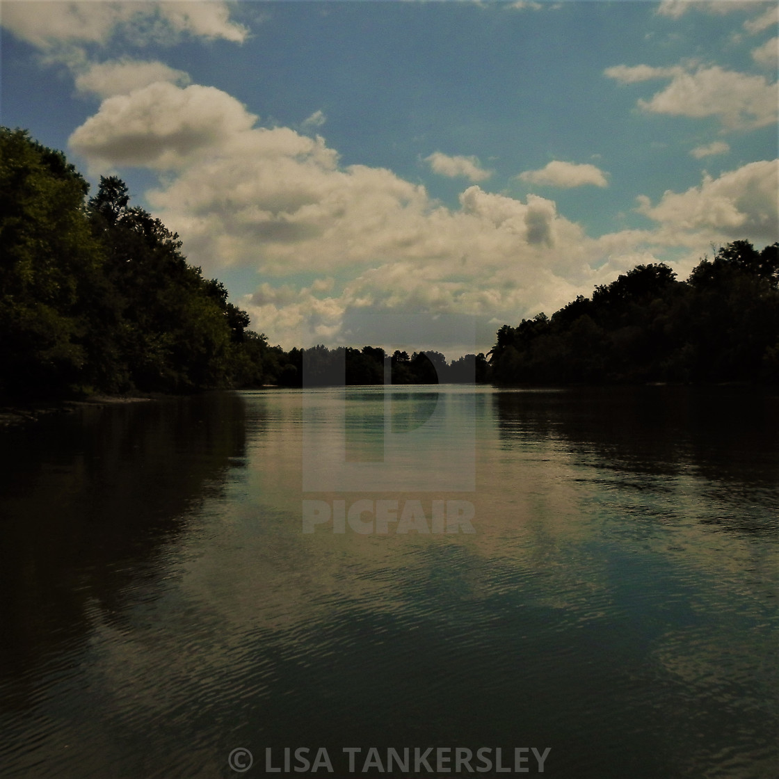 "The Great Chattahoochee River" by LISA TANKERSLEY - $15.42 "The Great Chattahoochee River" stock image